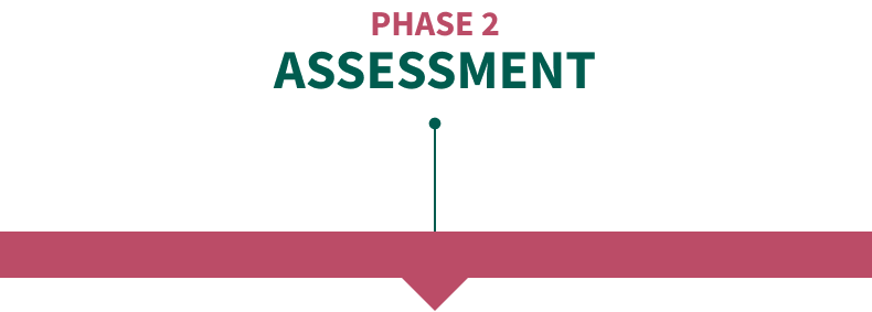 Phase 2: Assessment